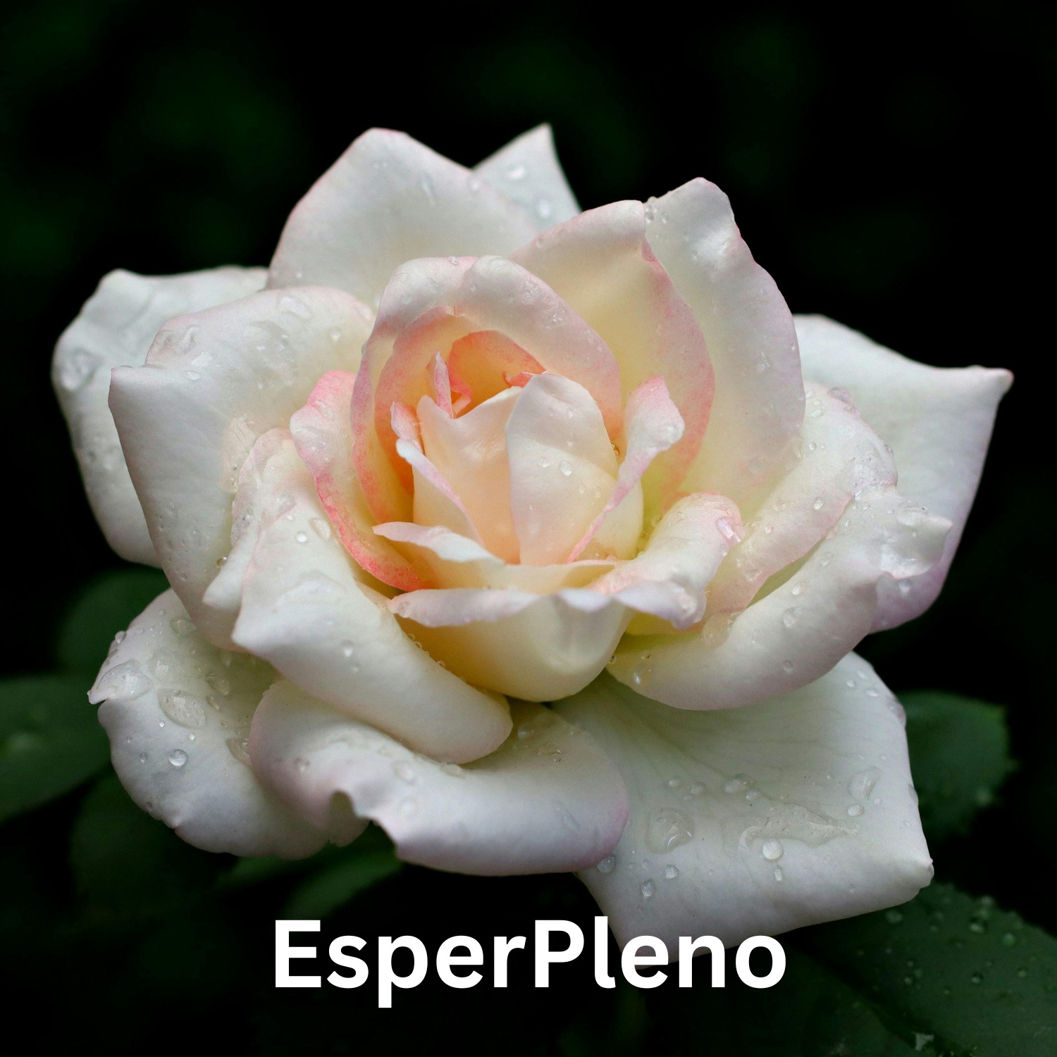 EsperPleno logo